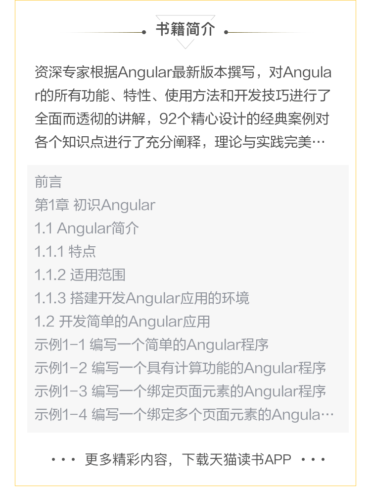 AngularJS实战 介绍图片