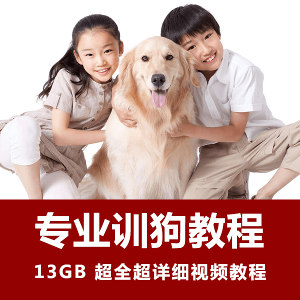 全网最全训狗视频教程 人人成为训狗高手 介绍图片