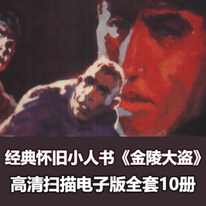 经典怀旧连环画《金陵大盗》全套电子版