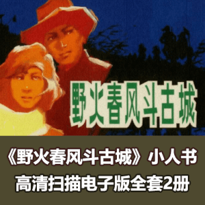 《野火春风斗古城》连环画小人书全套电子版