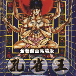 孔雀王正传高清漫画全17卷