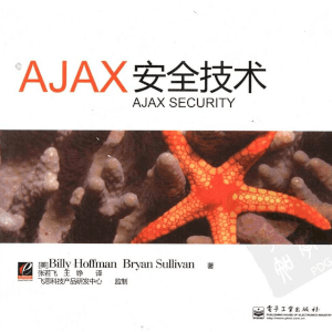 《Ajax安全技术》防范AJAX安全漏洞的实用指南